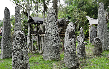 Image showing Traditional family burial site