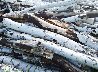 Image showing logs