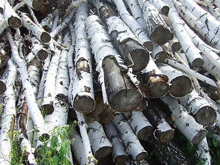 Image showing logs