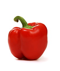 Image showing Red peppers on a white background.