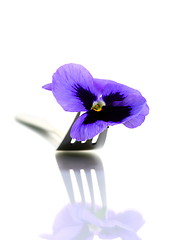 Image showing Flower on a fork.