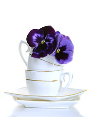 Image showing Violet flowers in a coffee cup on a white background.