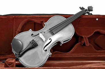 Image showing Black and white Violin in red brown case