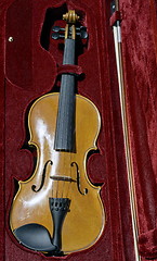 Image showing Violin in case