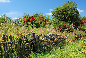 Image showing Shabby fence in the Russian Village