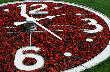 Image showing Part of Flower Clock