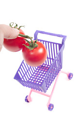 Image showing Conceptual photo with miniature shopping-cart