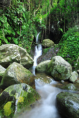 Image showing Waterfall making its way into a pond in the rainforest 