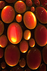 Image showing Baltic amber