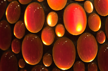Image showing Baltic amber