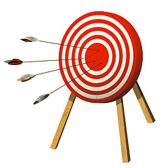 Image showing Target practice