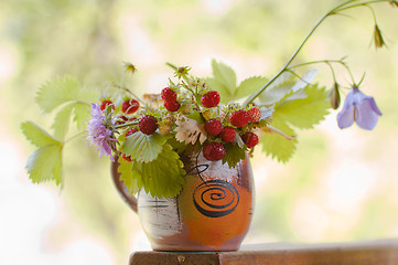 Image showing  camomile and wild strawberry