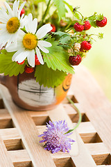 Image showing  camomile and wild strawberry