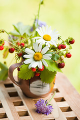 Image showing  camomile and wild strawberry