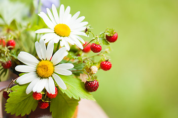 Image showing  camomile and wild strawberry