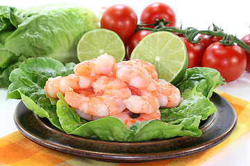 Image showing Prawns