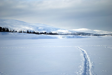 Image showing Winter