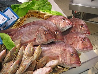 Image showing Fish at market