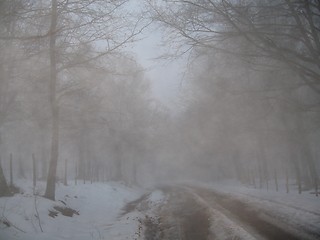 Image showing Snowy Nebrodi