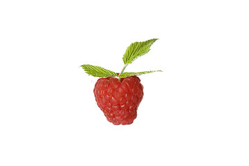Image showing Ripe raspberry with green leaf