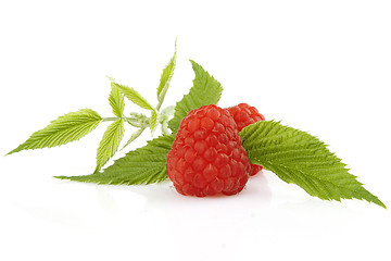 Image showing Ripe raspberry with green leaf