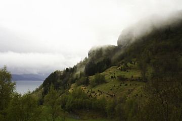 Image showing Hardanger