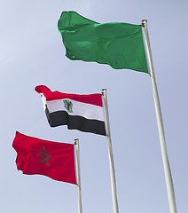 Image showing African Arab states flags