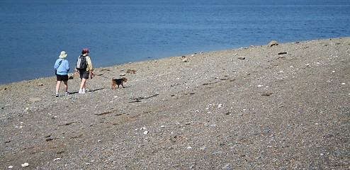 Image showing Beach Stroll