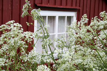 Image showing window