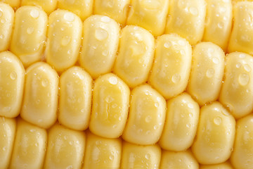 Image showing corn