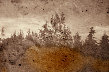 Image showing fading forest