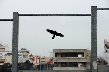 Image showing highway barrier