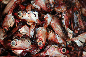 Image showing cut fish heads