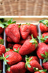 Image showing fresh strawberries