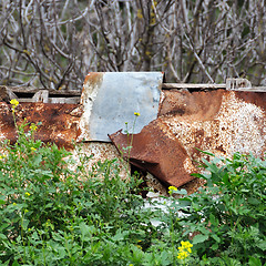 Image showing rusty flowers