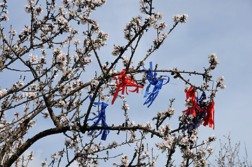 Image showing tangled kite