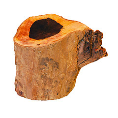 Image showing Stump isolated