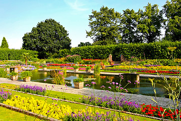 Image showing Garden pond