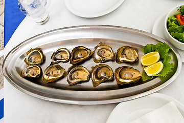 Image showing Oysters plate