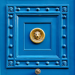 Image showing Lion door