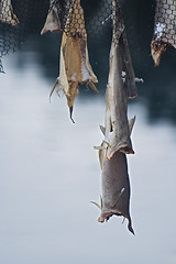 Image showing Bacalao