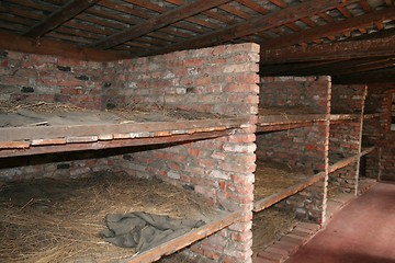 Image showing Auschwitz beds