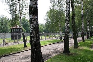 Image showing Auschwitz fence