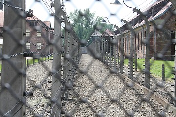 Image showing Auschwitz, fence