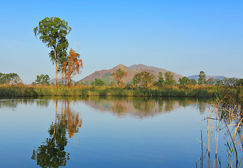 Image showing lake with clear water and trees
