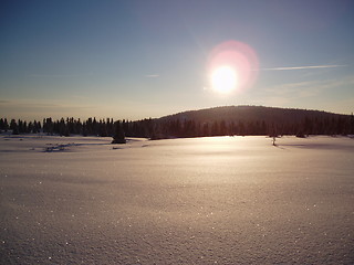 Image showing Sun over snowcovered fields