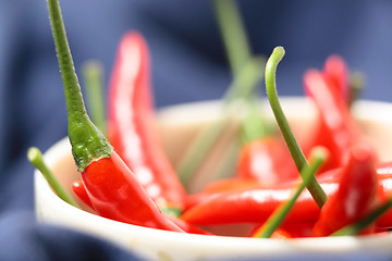 Image showing red pepper in bowl