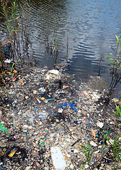 Image showing water pollution in river