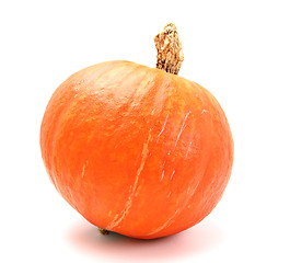 Image showing pumpkin