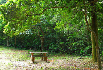 Image showing picnic place